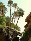 TAMERZA 3
